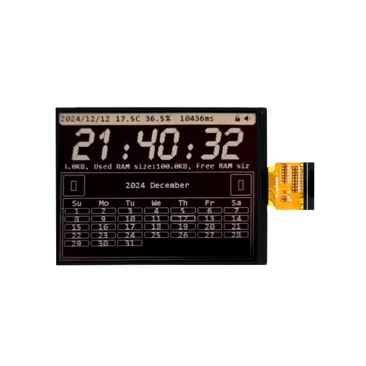 4.2-inch Monochrome Reflective Display