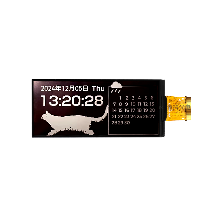 2.9-inch Monochrome Reflective Display
