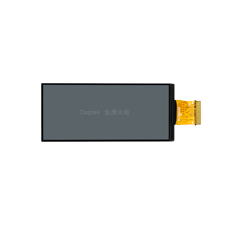 2.9-inch Monochrome Reflective Display image 2