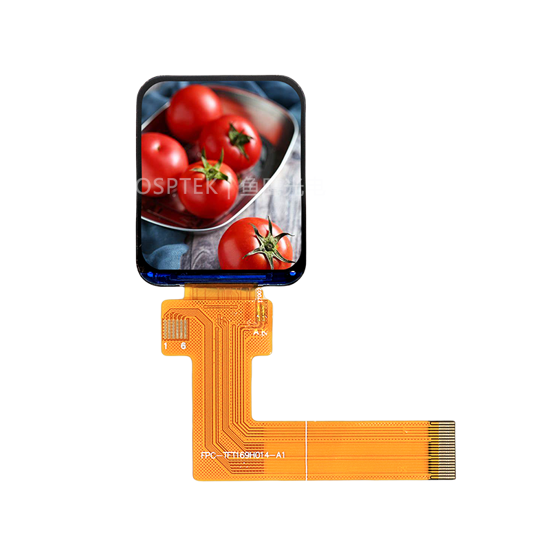 1.69-inch TFT Screen