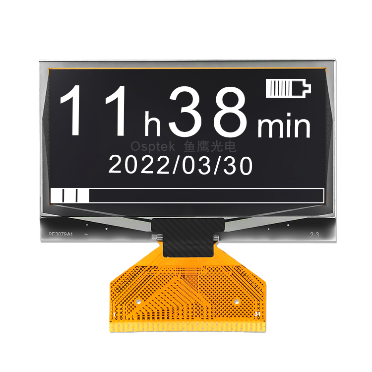 2.42-inch OLED Screen